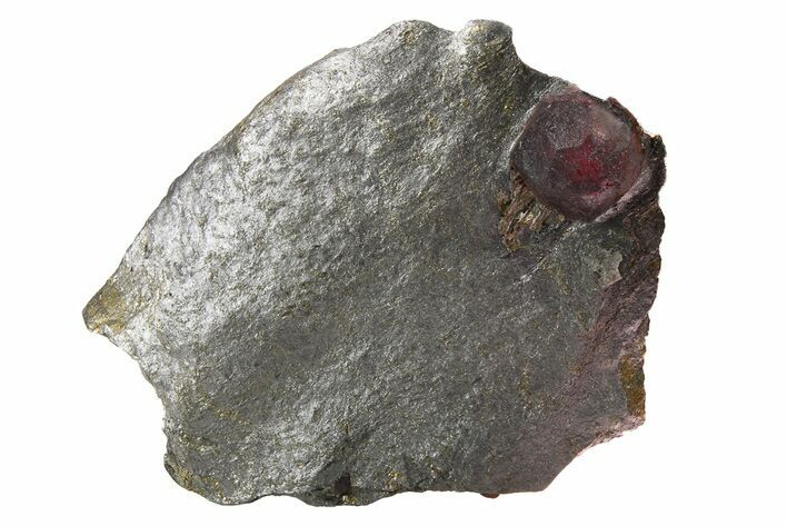 Red Embers Garnet in Graphite - Massachusetts #272763